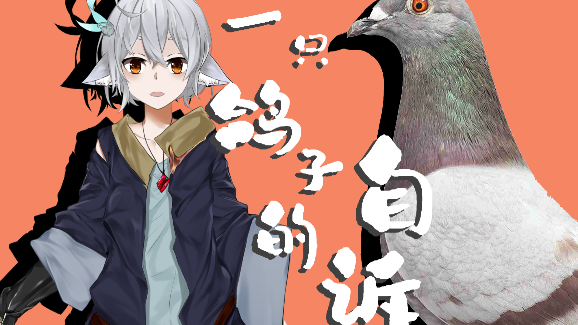 【白上文】一只鸽子的自述